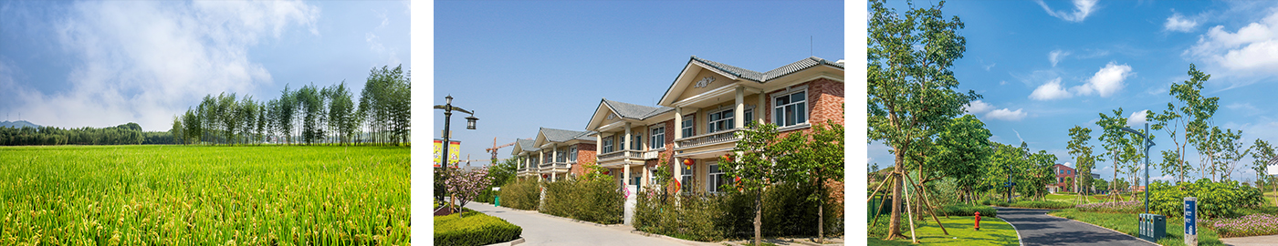 20260108176786155024.jpg 環(huán)境氣象監(jiān)測-適用場景.jpg